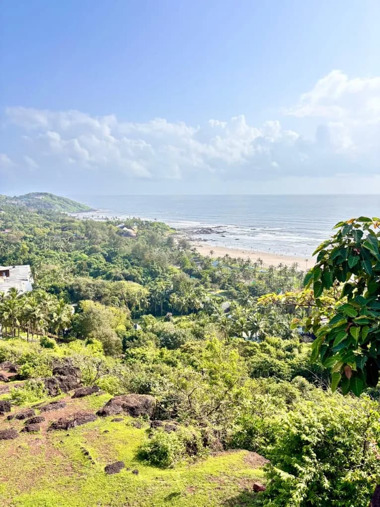 The Goa coastline seen from the fort: palm groves running down to a sandy beach and the sea under a bright sky.