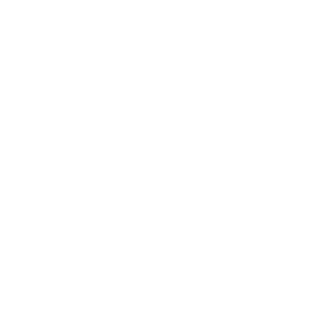 Enterprise SEO Services