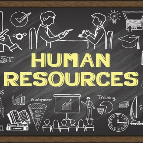 Human Resources (HR)